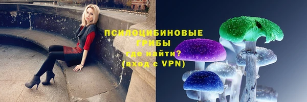 меф VHQ Дмитриев