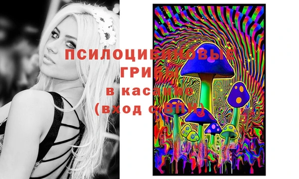 меф VHQ Дмитриев