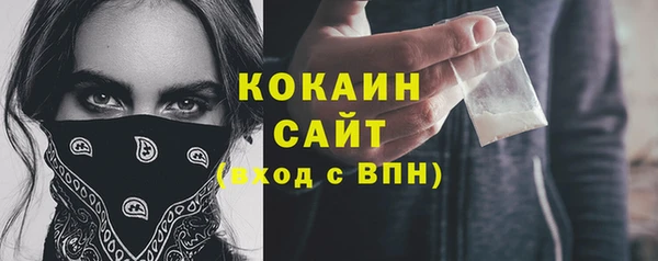 дмт Дмитровск