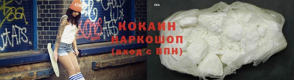 дмт Дмитровск