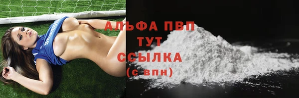 дмт Дмитровск