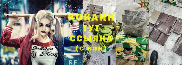 дмт Дмитровск