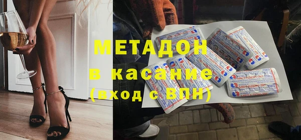 сатива Ельня