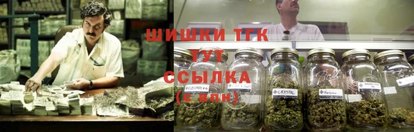 сатива Ельня